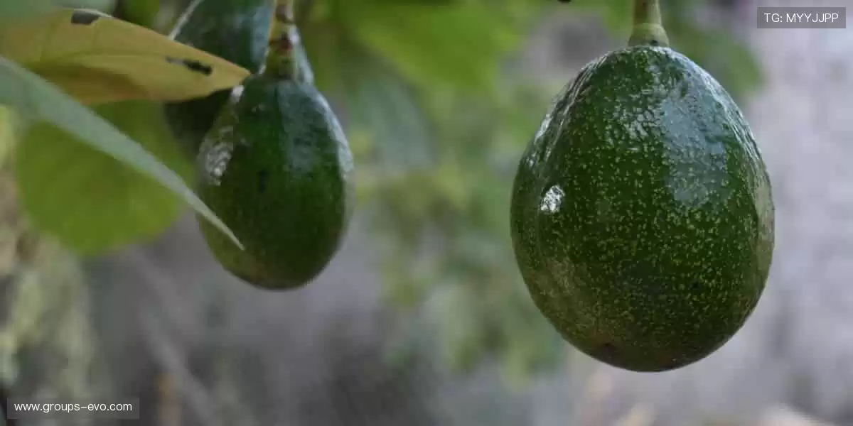 🔥全球赛事，一键点燃你的热血！